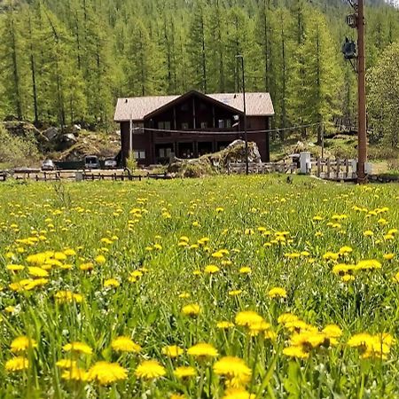 ホテル Chalet Rosa Dei Monti Valprato Soana エクステリア 写真