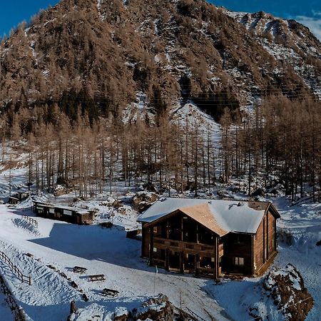 Chalet Rosa Dei Monti Piamprato エクステリア 写真