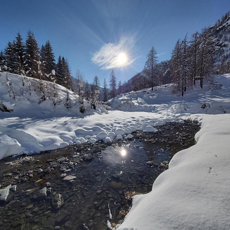 ホテル Chalet Rosa Dei Monti Valprato Soana エクステリア 写真