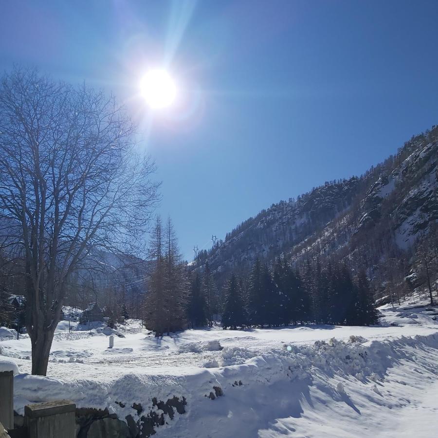 ホテル Chalet Rosa Dei Monti Valprato Soana エクステリア 写真