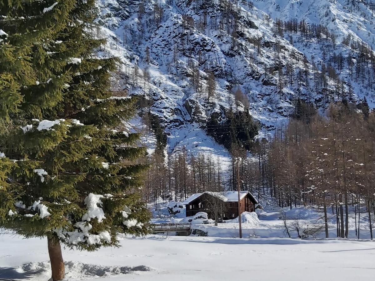 ホテル Chalet Rosa Dei Monti Valprato Soana エクステリア 写真