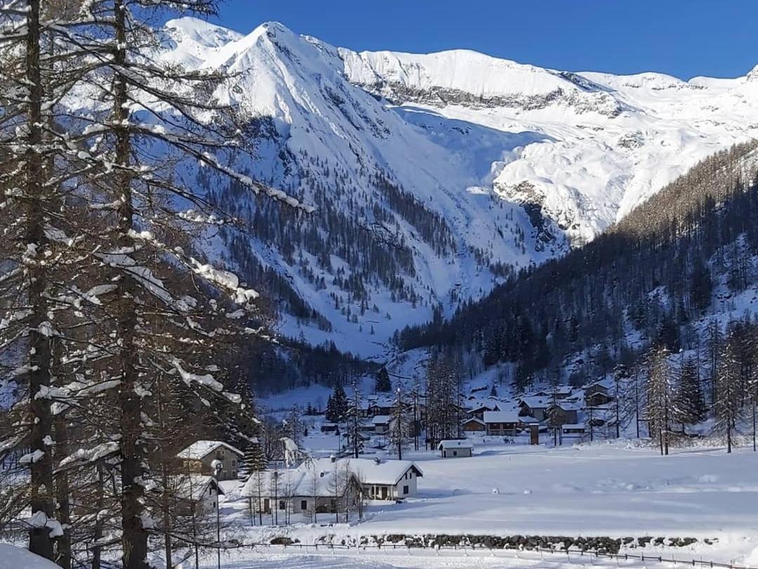 Chalet Rosa Dei Monti Piamprato エクステリア 写真