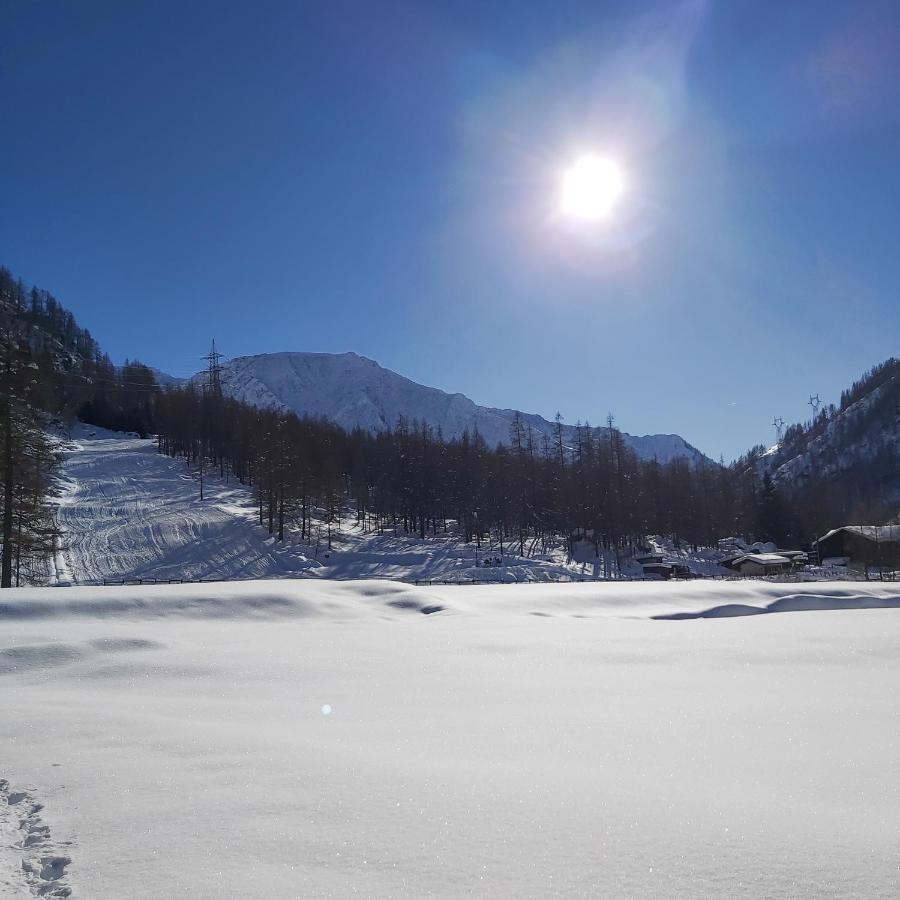 ホテル Chalet Rosa Dei Monti Valprato Soana エクステリア 写真