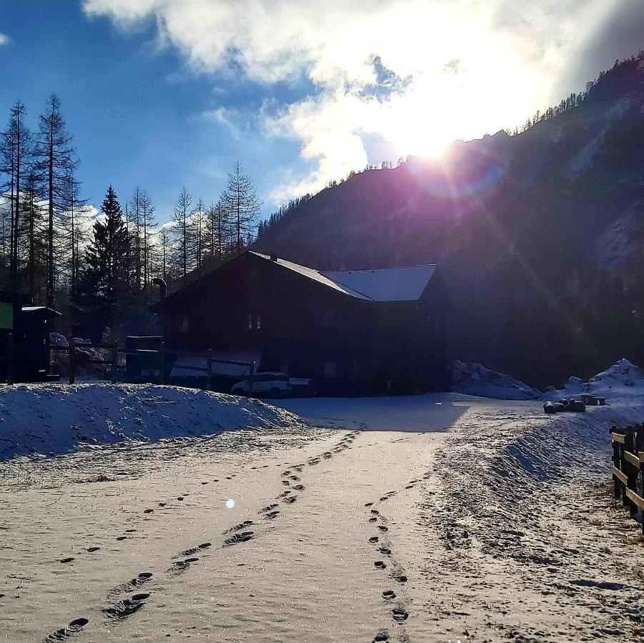 ホテル Chalet Rosa Dei Monti Valprato Soana エクステリア 写真