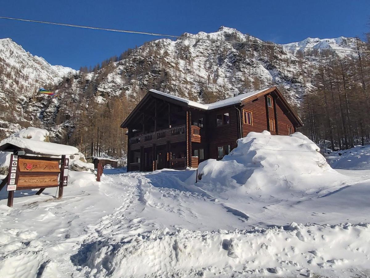Chalet Rosa Dei Monti Piamprato エクステリア 写真