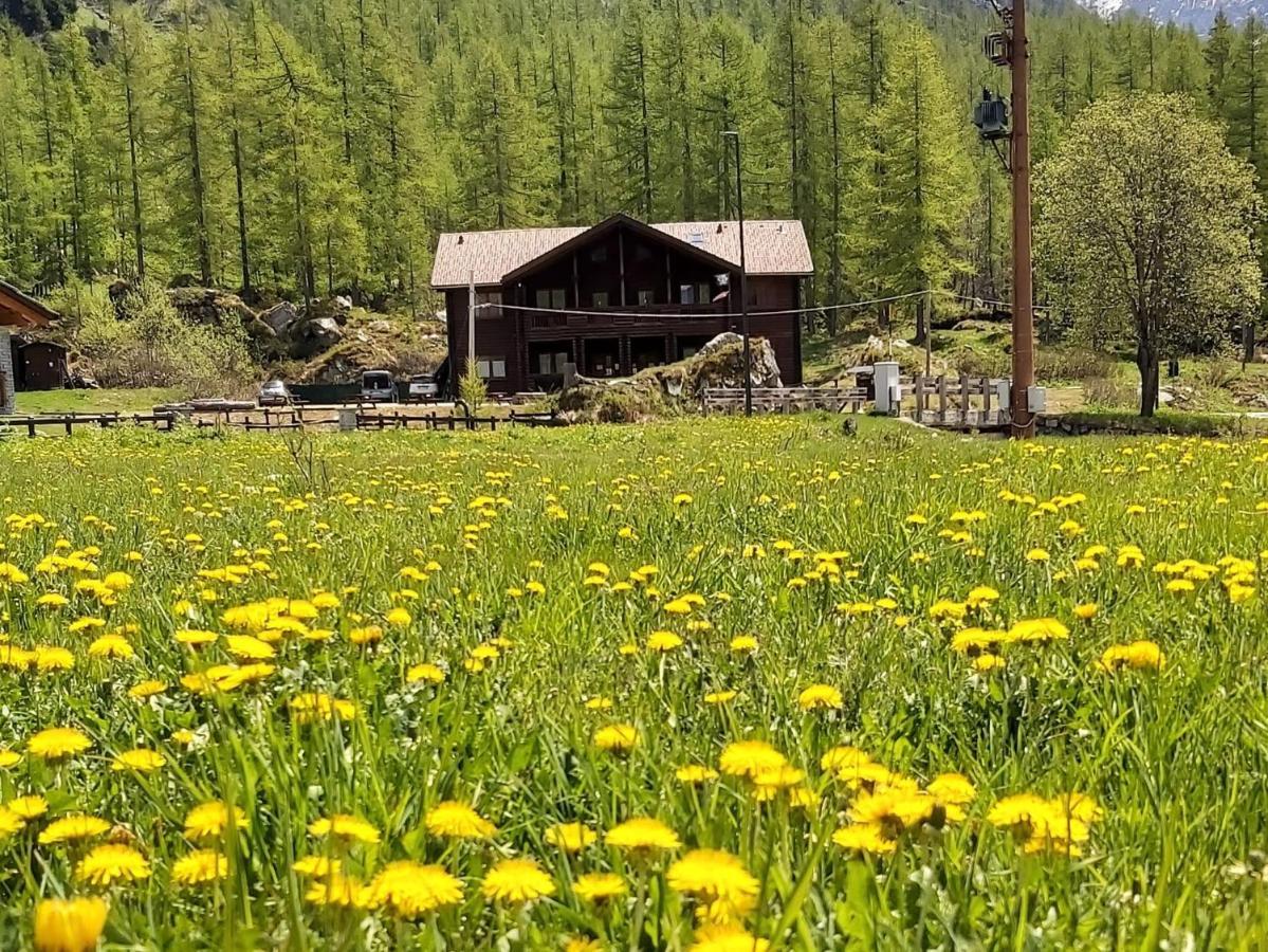 ホテル Chalet Rosa Dei Monti Valprato Soana エクステリア 写真