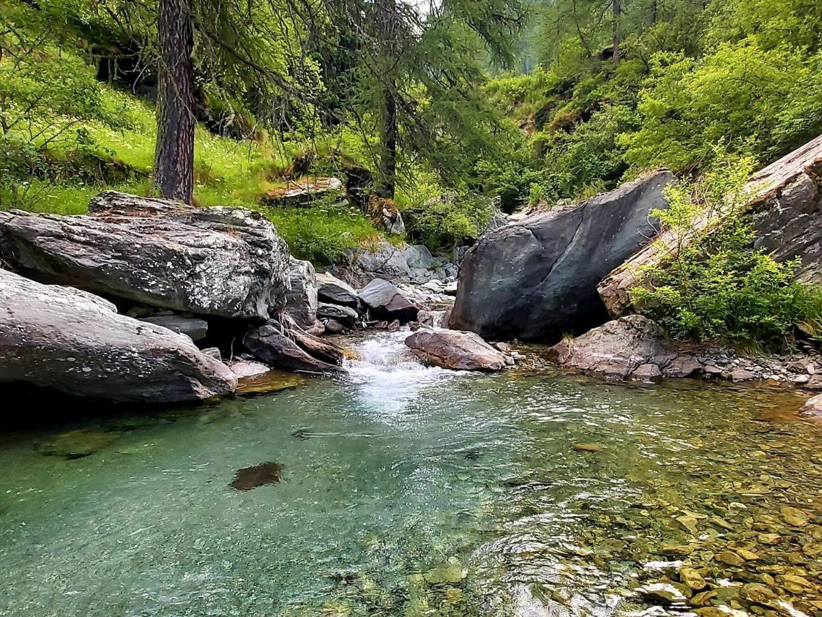 ホテル Chalet Rosa Dei Monti Valprato Soana エクステリア 写真