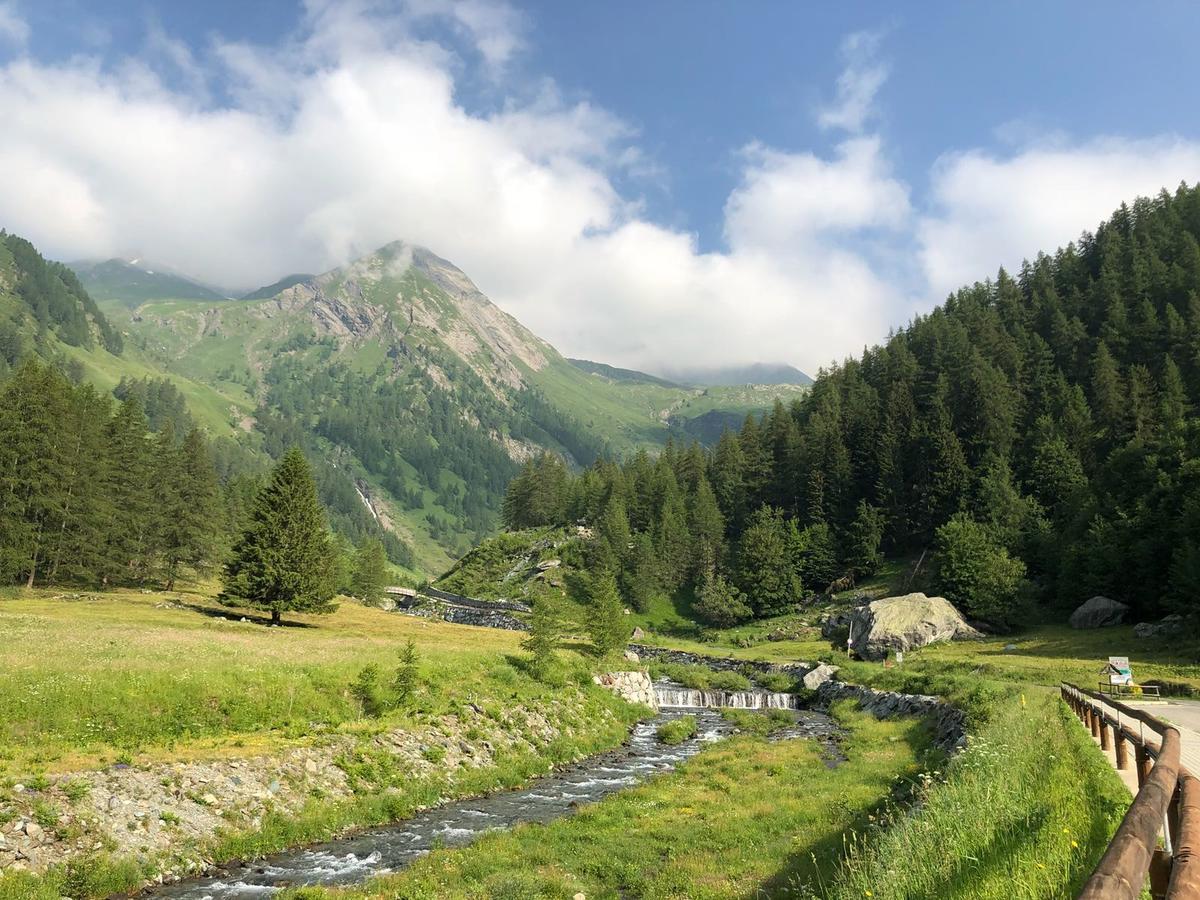 ホテル Chalet Rosa Dei Monti Valprato Soana エクステリア 写真