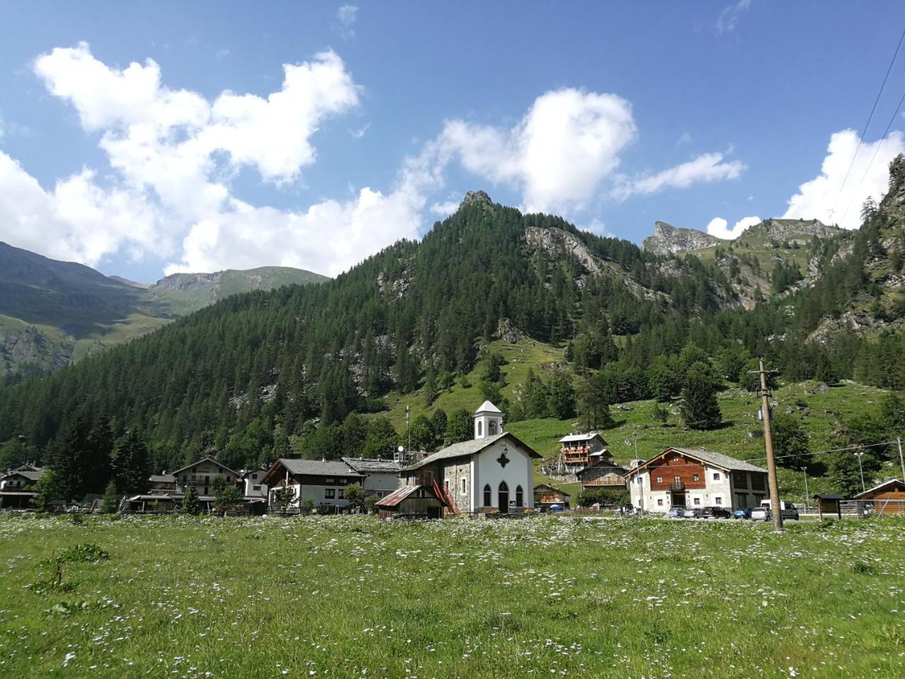 Chalet Rosa Dei Monti Piamprato エクステリア 写真
