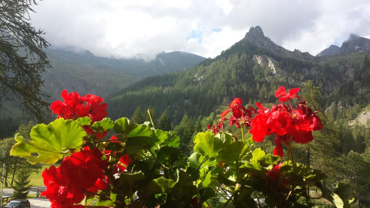 Chalet Rosa Dei Monti Piamprato エクステリア 写真