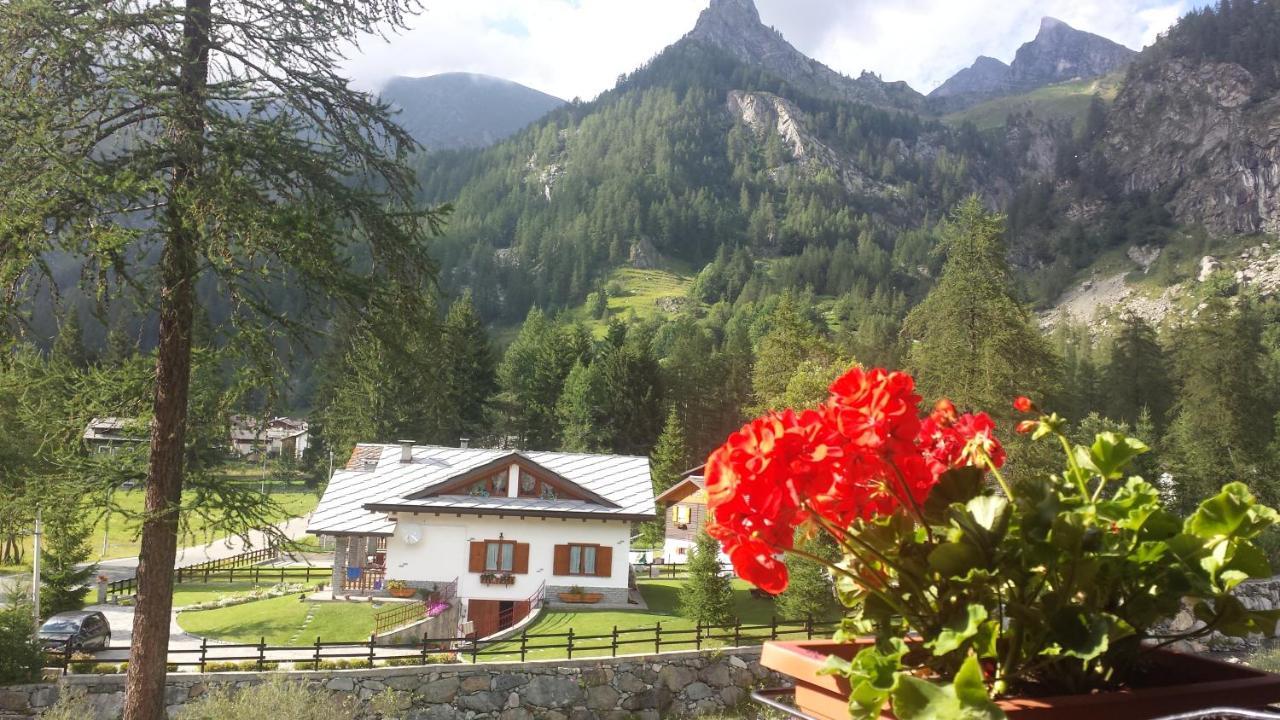 ホテル Chalet Rosa Dei Monti Valprato Soana エクステリア 写真