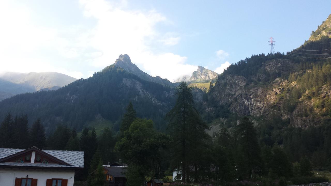 ホテル Chalet Rosa Dei Monti Valprato Soana エクステリア 写真