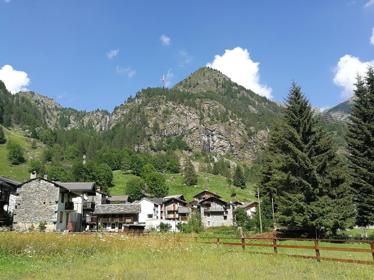 Chalet Rosa Dei Monti Piamprato エクステリア 写真