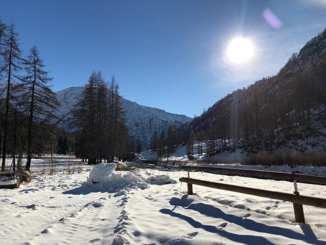 ホテル Chalet Rosa Dei Monti Valprato Soana エクステリア 写真