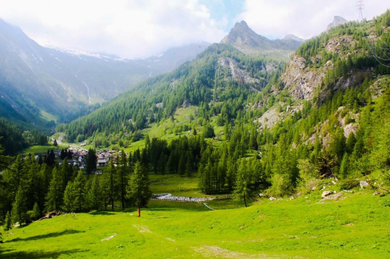 ホテル Chalet Rosa Dei Monti Valprato Soana エクステリア 写真