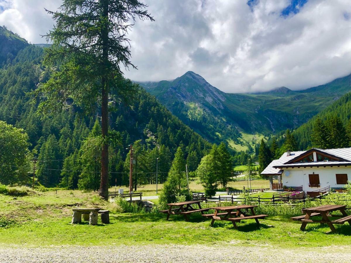 ホテル Chalet Rosa Dei Monti Valprato Soana エクステリア 写真