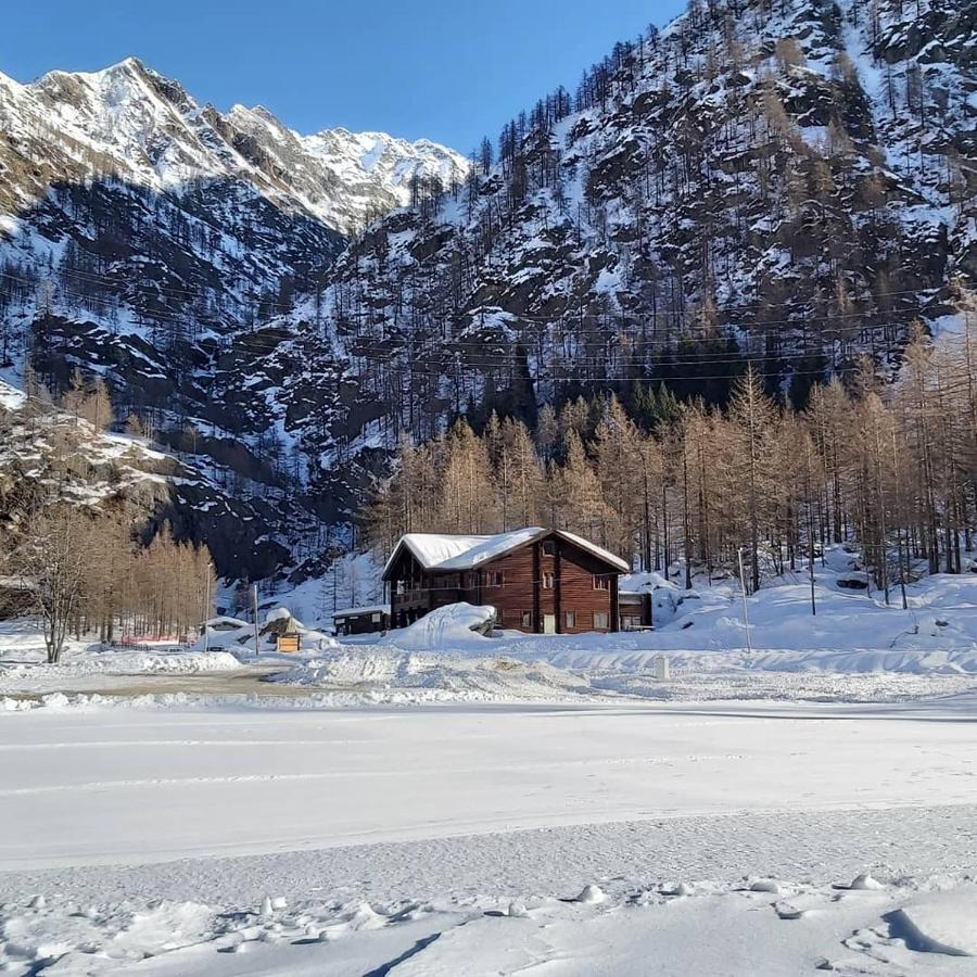 ホテル Chalet Rosa Dei Monti Valprato Soana エクステリア 写真